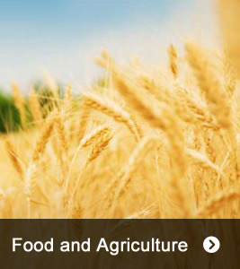 Food and Agriculture
